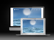 Koç / Setur, Web Site